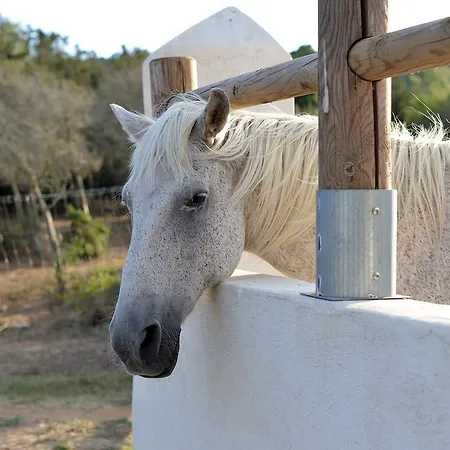 Village Naturiste La Chiappa