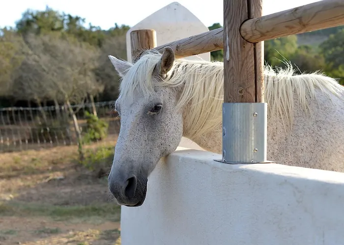 Village Naturiste La Chiappa