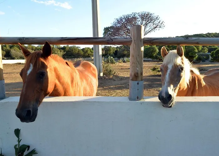 Vakantiepark Village Naturiste La Chiappa Porto-Vecchio (Corsica)